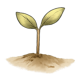 植物のイラスト